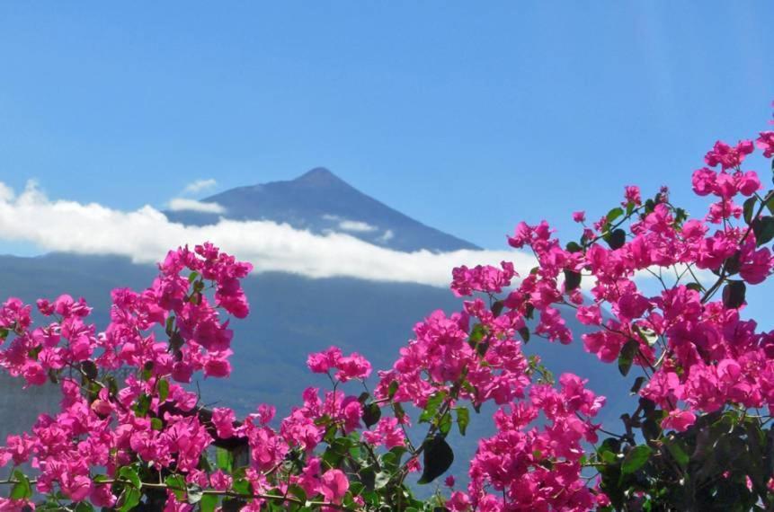 Finca Casa Vieja Hotel ซานตา เออร์ซูลา ภายนอก รูปภาพ